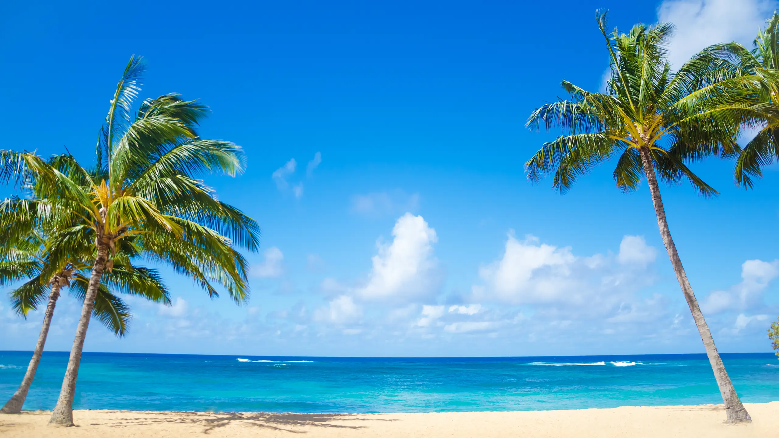 hawaii background image